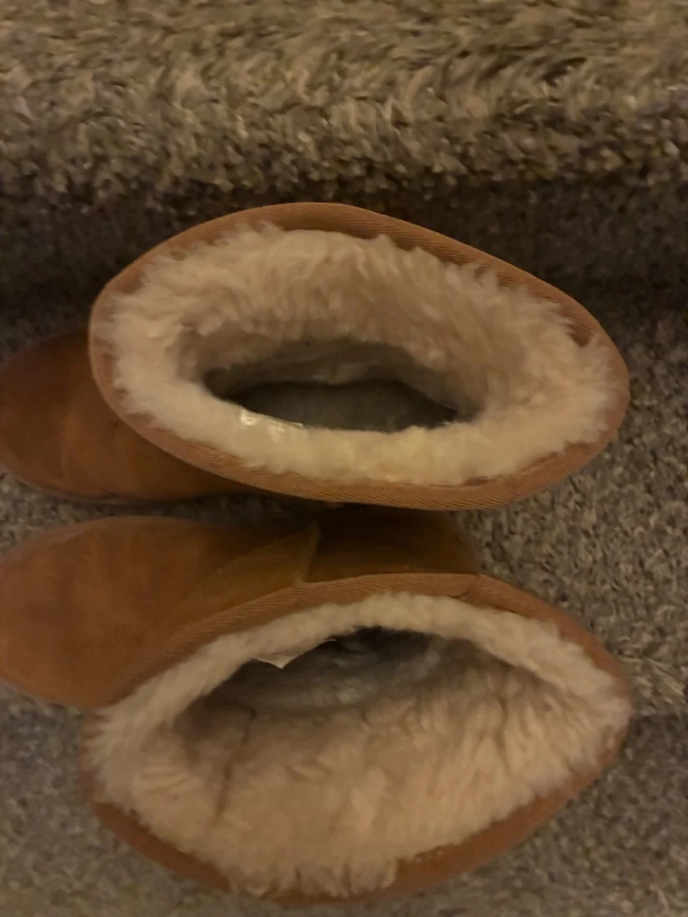 Kookaburra ugg boots